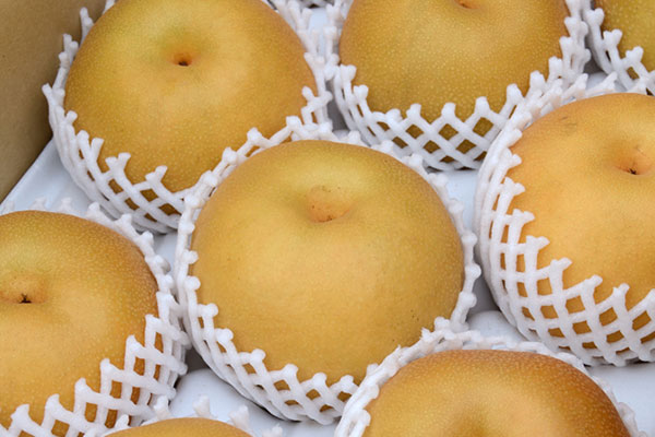 伊万里梨 9個入り 伊万里梨 9個入り